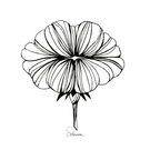 Fleur d&eacute;licate aux lignes &eacute;l&eacute;gantes en noir